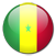 senegal flag icon