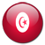 tunisia flag icon